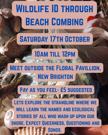 Flyer for Wildlife ID Through Beach Combing on Saturday 17th October 2026