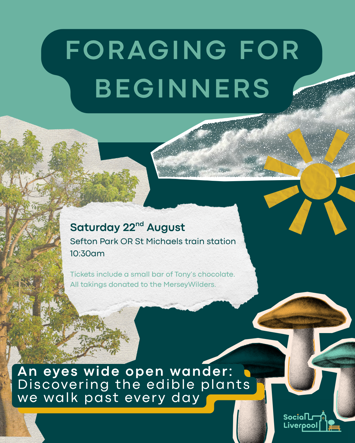 Flyer for Foraging for Beginners on Saturday 22nd August 2026