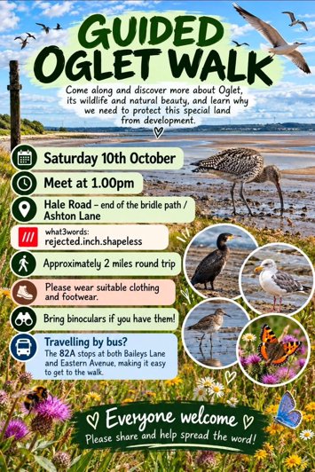 Flyer for past event: Guided Oglet Walk
