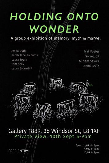 Flyer for past event: Holding Onto Wonder - Private view